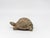 1970s Vintage Reconstituted Stone Tortoise or Turtle Garden Ornament, England 1970s For Sale - Image 5 of 8