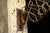 Early 20th Century Japanned Scissor Arm Lamp With Glass Shade For Sale - Image 17 of 18