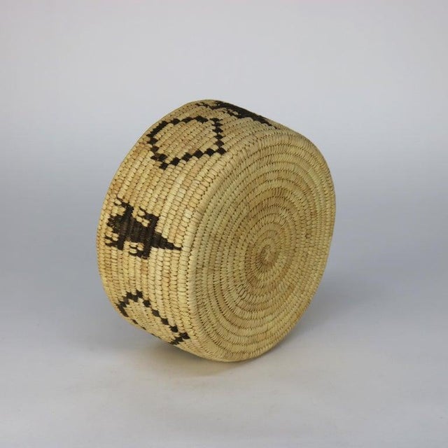 Native American Vintage Southwest Native American Figural Woven Reed Bowl 20thC For Sale - Image 3 of 4