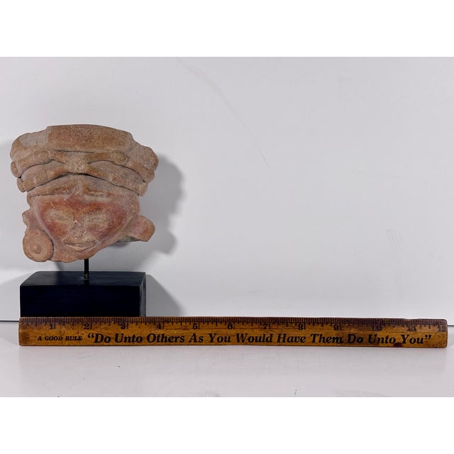 Pre-Columbian Jamacoaque Terracotta Head Fragment For Sale - Image 11 of 15