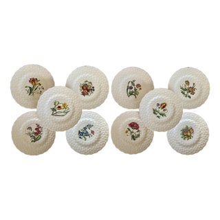 Vintage Spode Copeland England Botanical Luncheon Plates — Set of 10 For Sale