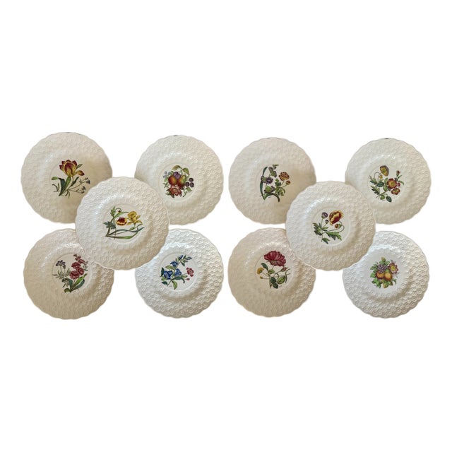 Vintage Spode Copeland England Botanical Luncheon Plates — Set of 10 For Sale