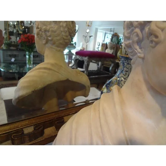 19th Century Italian Classical Alabaster Bust For Sale In Houston - Image 6 of 9