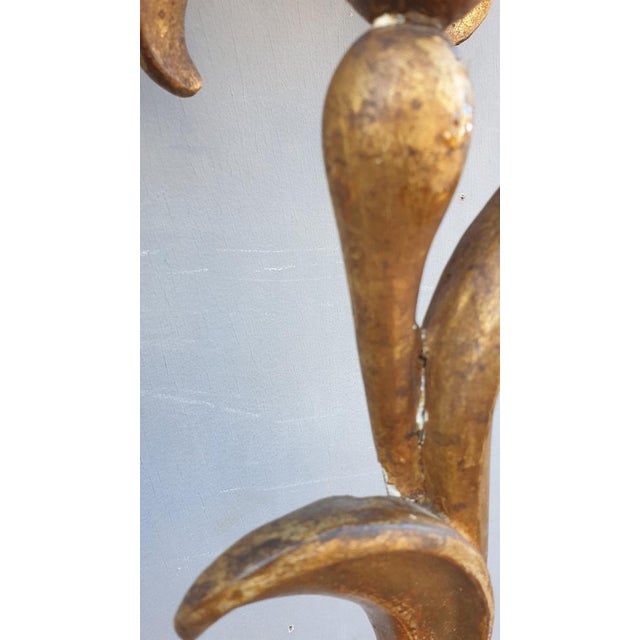 Large 19th Century Sculpted Gilded Wood Wall Light, Tuscany, Italy For Sale - Image 5 of 14