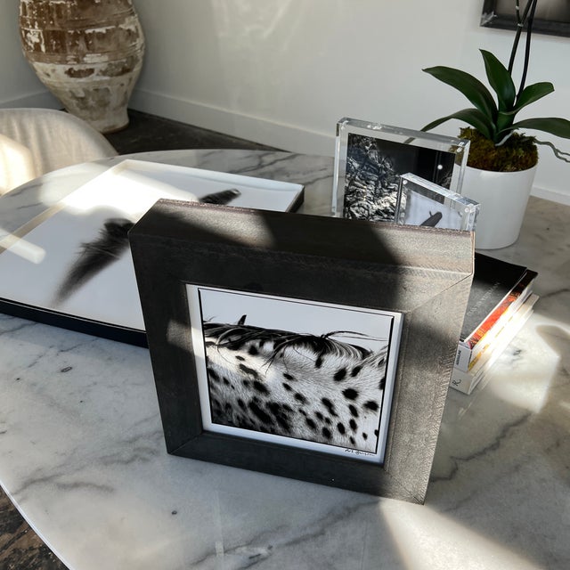 2000 - 2009 "Spotted Mane" Limited Edition Print by Rob Brinson For Sale - Image 5 of 13