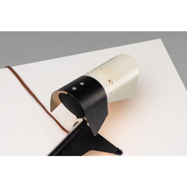 French Dog Lamp by Jean Boris Lacroix for Disderot, 1950 For Sale - Image 17 of 18