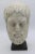 Ivory Head in Antique Style, 1800s, Carrara Marble For Sale - Image 8 of 8