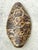 Vintage Italian Scagliola Artisan Pigmented Plaster Turtle Shell For Sale - Image 10 of 14