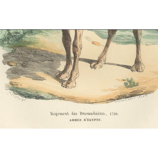 French Dromedary Regiment 1798, Napoleon Egypt Campaign Military Print This striking hand-colored 19th-century engraving...