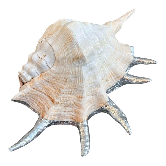 Monumental 13” Natural Shell, Silver Leaf Lambis Spider Conch Sculpture, Organic Coastal Objet D’Art For Sale