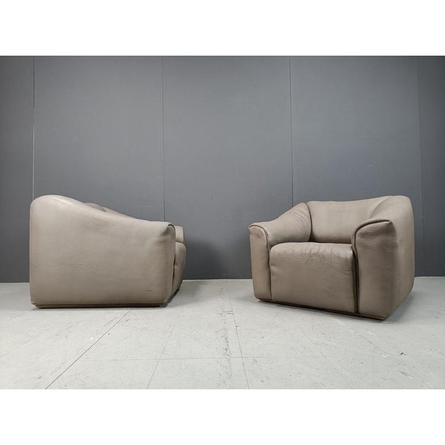 Animal Skin DS47 Armchairs from de Sede, 1970s, Set of 2 For Sale - Image 7 of 12