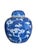 Vintage Asian Antique Blue and White Ginger Jars- A Pair For Sale - Image 15 of 16