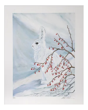 Allen Friedman, Bunny, Lithograph