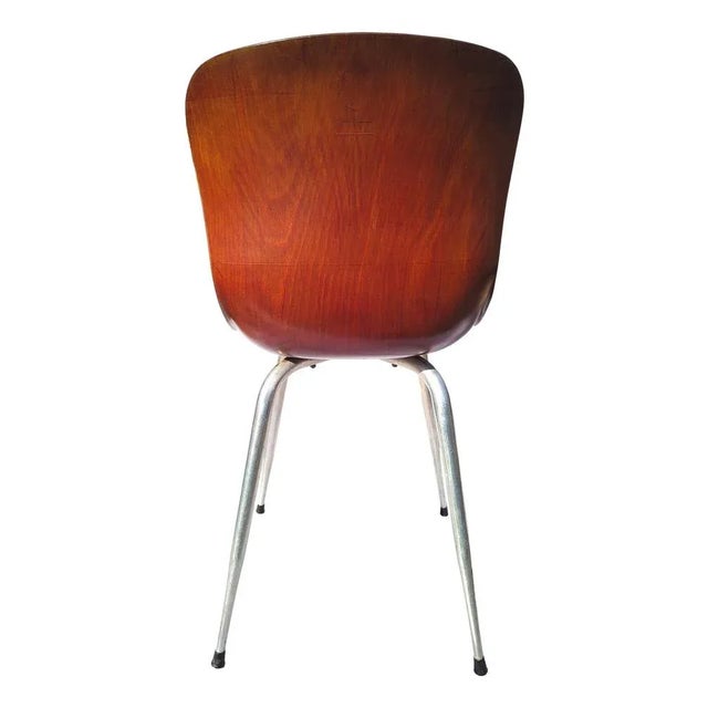 Mid-Century Modern 15074/II Chair by Elmar Flötotto for Pagholz, 1960s For Sale - Image 3 of 8