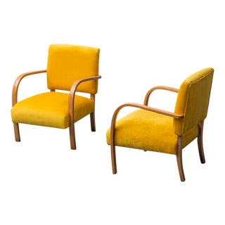 Yellow Velvet and Wood Chairs, 1950s, Set of 2 For Sale