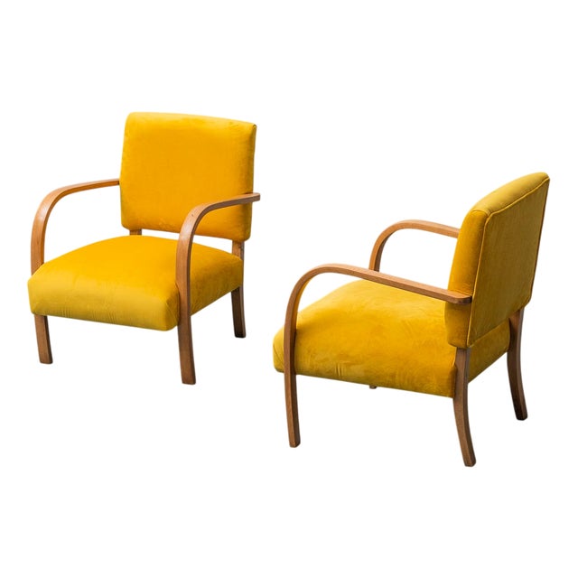 Yellow Velvet and Wood Chairs, 1950s, Set of 2 For Sale