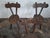 Mid 20th Century Brutalist French Hand-Carved Dining Chairs After Alexandre Noll, 1950s, Set of 4 For Sale - Image 5 of 9
