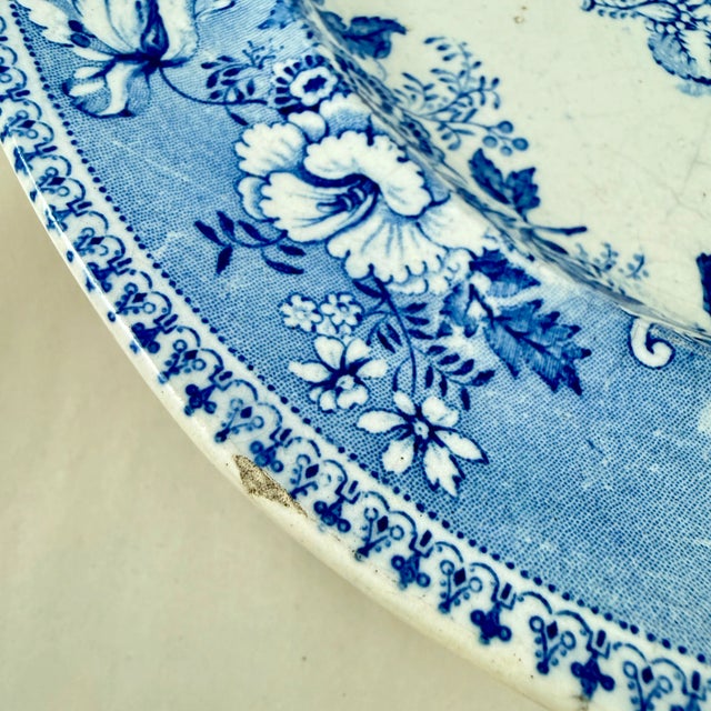 Elkin & Newbon English Botanical Beauties Dinner Plates, Set of Eight For Sale - Image 15 of 15