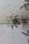 Silver Monumental Signed Maison Bagues France Crystal Floral Bouquet Wall Sconces a - Pair For Sale - Image 8 of 12