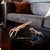 Contemporary Freddy Croc Sculpture- Small For Sale - Image 3 of 11