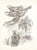 1966 Chagall Lithograph Sketch 1 Paris Opera For Sale