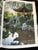 Vintage Chinese Garden Books For Sale - Image 11 of 11