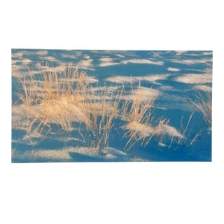 "Snow and Grass" Contemporary Color Photograph Print from The Estate of Gleb Derujinsky For Sale
