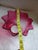 Bright Pink Mid-Century Fenton Style Diamond Quilted Cranberry Glass Ruffled Lamp Shade For Sale - Image 8 of 9