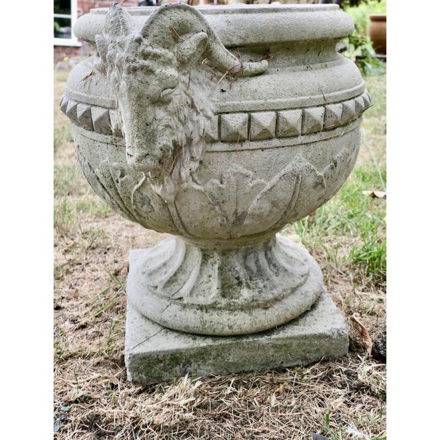 Ram’s Head Planter Superb Weathered Garden Urn A Beautiful Garden Urn decorated with Ram’s heads, one at each side The Urn...