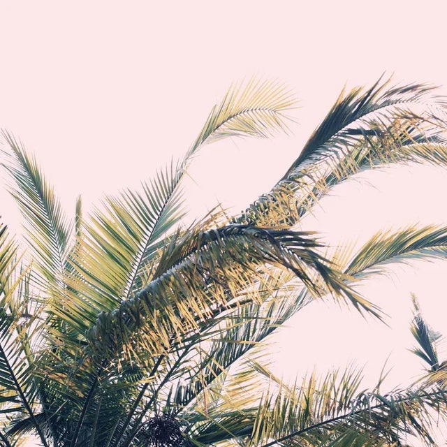 Winds of Change #2 by Alicia Bock, 32" x 32" Unframed Winds of Change #2 by Alicia Bock Print, 32" x 32"