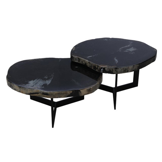 Black Epoxy Covered Petrified Wood Coffee Tables by Xyleia Petrified Wood, Set of 2 For Sale - Image 12 of 12