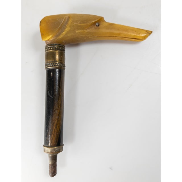Wood 19th Century Victorian Carved Water Buffalo Horn Parasol Handle in the Form of Greyhound For Sale - Image 7 of 8