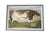 Green Custom Framed Hand-Embroidered English Country Needlepoints – Set of Four For Sale - Image 8 of 18