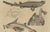 Bertuch, Seahorse, Frilled Shark & Curious Fish, 1821, Engraving For Sale - Image 6 of 9