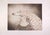 Benito Trolese, Eagle and Horse, 1990s, Etching For Sale - Image 3 of 3