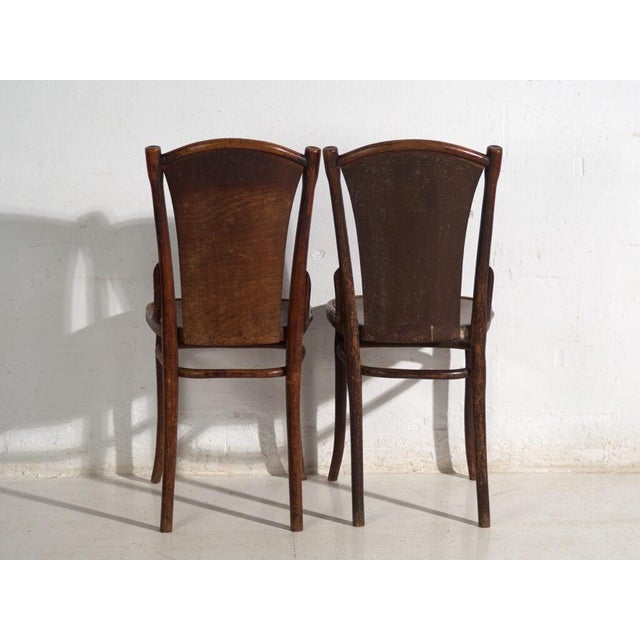 Wood Antique Bentwood Chairs, Central Europe, 1900s, Set of 2 For Sale - Image 7 of 11