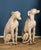 Tuscan Porcelain Greyhounds, Early 20th Century, Set of 2 For Sale - Image 6 of 6