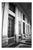 Paul Cooklin, Rome Italy 00148, Edition of 50 For Sale