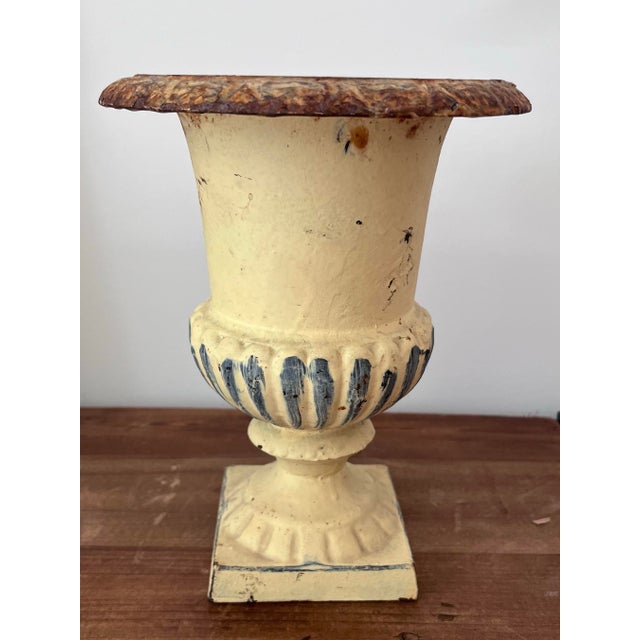This diminutive, pastel yellow, French garden urn with its egg and dart motif-a characteristic of the Medici style, is the...