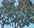 Textural Serenity: Jacobson's Three Little Trees. Oil Painting For Sale - Image 4 of 13