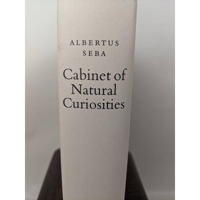 Albertus Seba's Cabinet of Natural Curiosities – Taschen Red & White Illustrated Book For Sale - Image 11 of 12