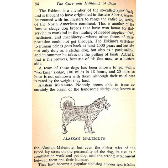 "The Care and Handling of Dogs" 1950 Baird, Jack For Sale In New York - Image 6 of 12