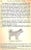 "The Care and Handling of Dogs" 1950 Baird, Jack For Sale In New York - Image 6 of 12