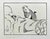 Support is an Original China Ink Drawing realized by Hermann Paul (1864-1940). Good condition on a white paper. Hand-...