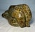 Antique Signed Carved Soapstone Eva Itulu Canadian Seal Eskimo Sculpture Inuit For Sale - Image 11 of 16