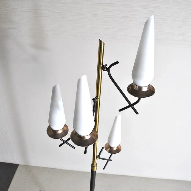 Mid-Century Modern Opaline Glass & Brass Floor Lamp by Stilnovo, 1950s For Sale - Image 3 of 12