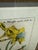 Soicher-Marin Daffodil Botanical Art Print, Pair For Sale - Image 9 of 12