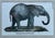 Vintage Framed Animal Illustrations - Set of 4 For Sale - Image 10 of 13