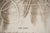 Lithograph Interlaced Beige Filaments Poster attributed to François Fiedler, 1974 For Sale - Image 6 of 7