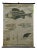 Vintage Swedish Black and White Skeleton of a Fish Rollable Wall Chart For Sale